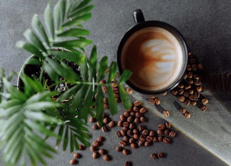 French Press’te Yapabileceğiniz Dört Hata￼